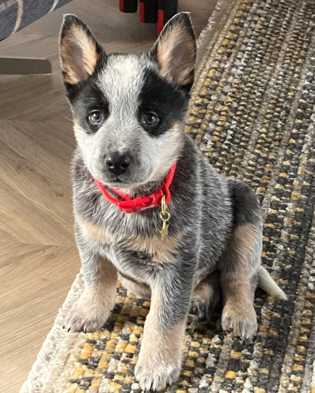Luna